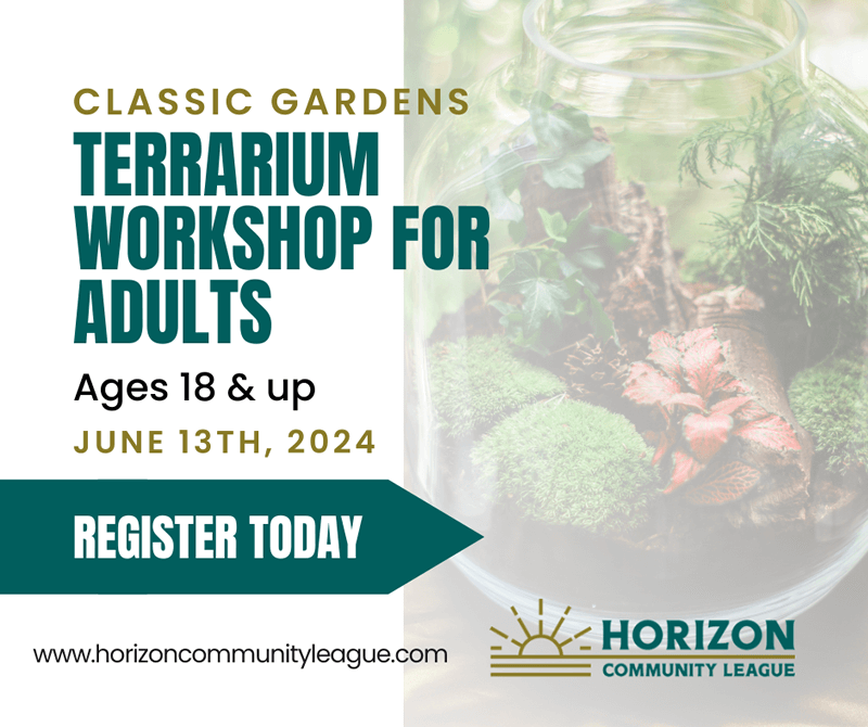 terrarium  workshop for adults