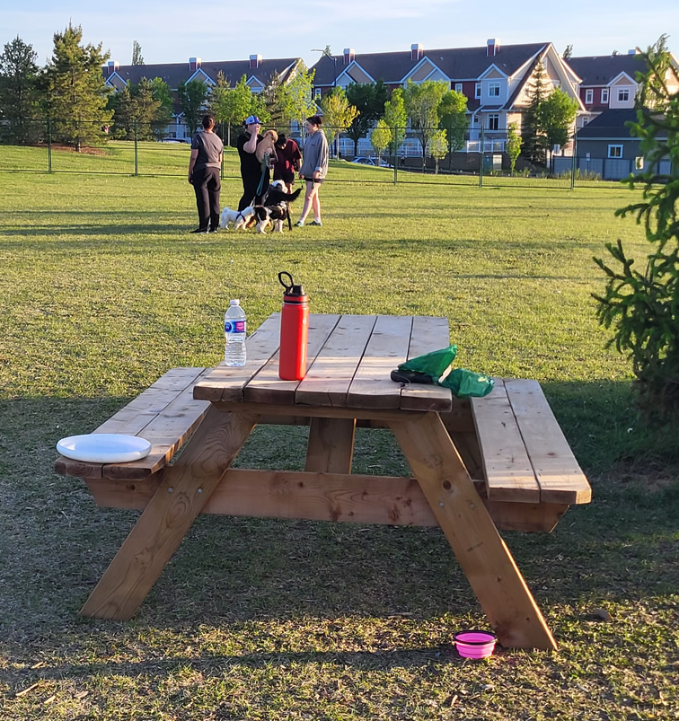 dog park, horizon